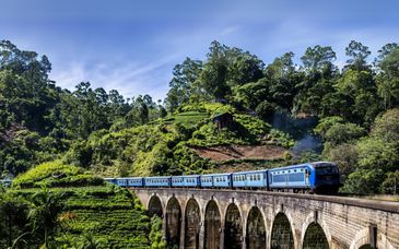 Duo: 8-night Sri Lanka private tour & Heritance Ahungalla 5*