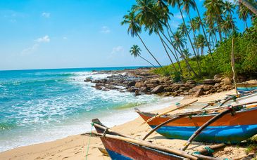 Sri Lankan City, Hill and Sea Circuit with Optional Dubai Extension