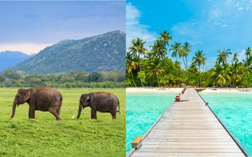 Sri Lanka Tour & Adaaran Select Meedhupparu 4*