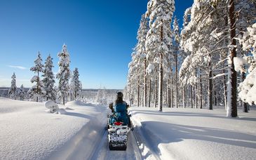 Finnish Lapland: Arctic Circle & Snow Safaris 