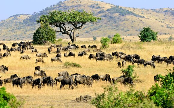 Ihre Safari im Überblick
