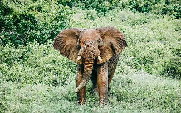 Willkommen in Kenia!