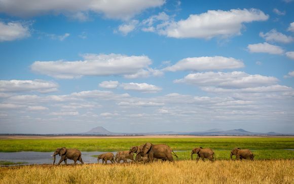 Willkommen in Afrika!