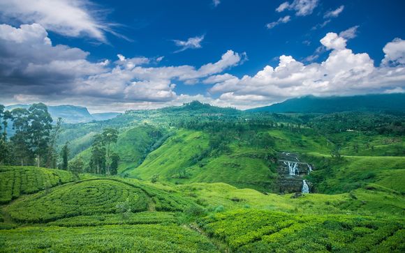 Willkommen auf Sri Lanka!