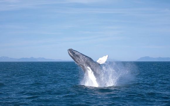 Die enthaltenen Ausflüge