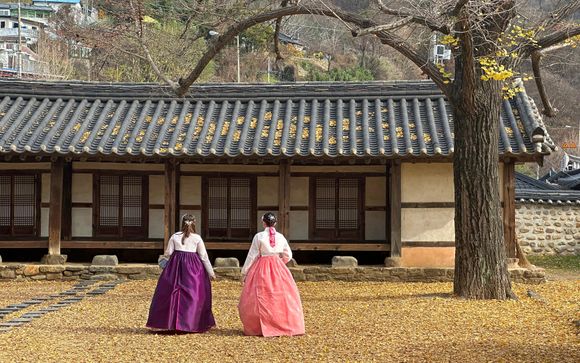 Zoom sur votre programme