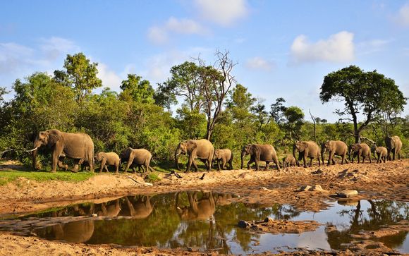 Zoom sur votre programme