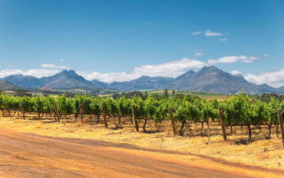 Vos excursions incluses pour plus d