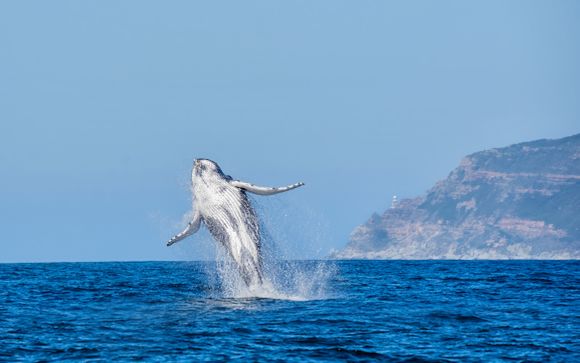 Vos excursions incluses pour plus d