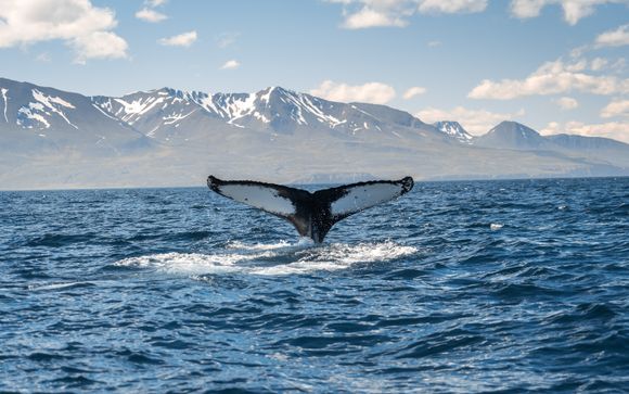 Mettez une option sur l