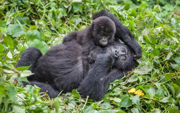 Zoom sur votre programme