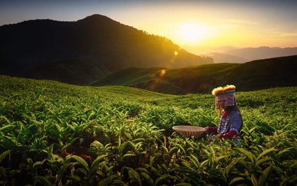 Rendez-vous... en Malaisie et aux Maldives