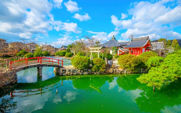 Zoom sur votre programme