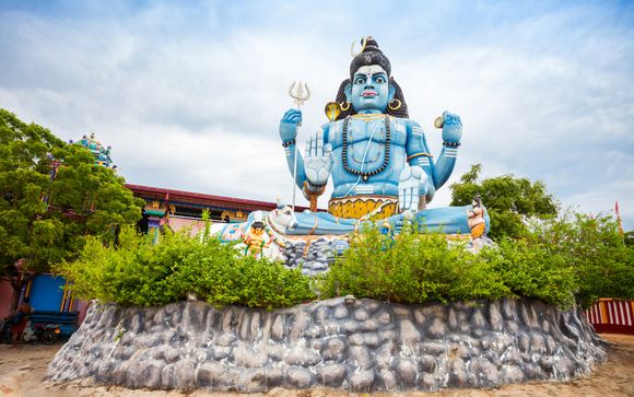 Vos options incluses pour plus d