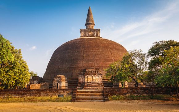 Mettez une option sur l