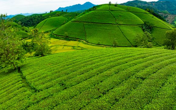 Votre circuit en un clin d'oeil