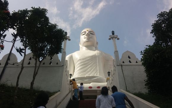 Zoom sur votre programme