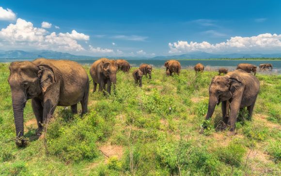 Zoom sur votre programme