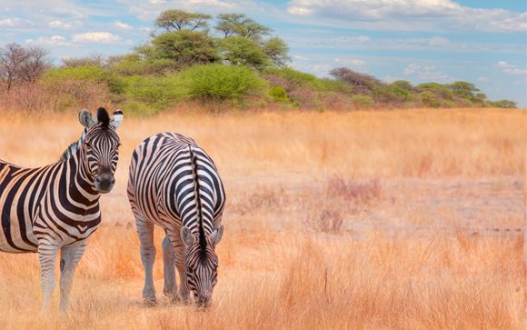 Vos options incluses pour plus de confort