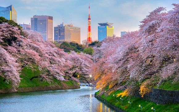 Zoom sur votre programme