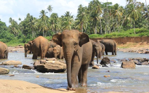 Mettez une option sur l