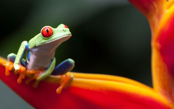 Votre circuit en un clin d’œil