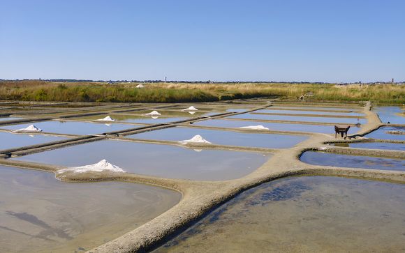 Pour aller plus loin 