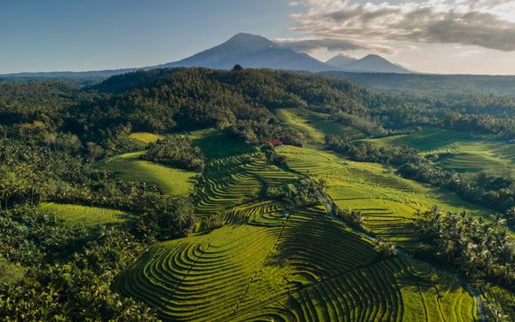 Rendez-vous à Singapour et Ubud