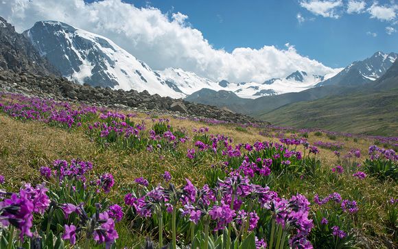 Pour aller plus loin 