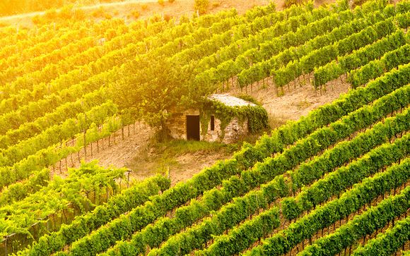 Pour aller plus loin 