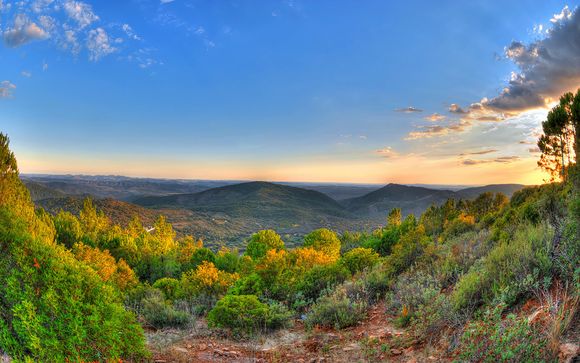 Pour aller plus loin 