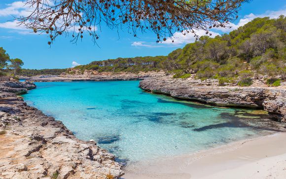 Pour aller plus loin 