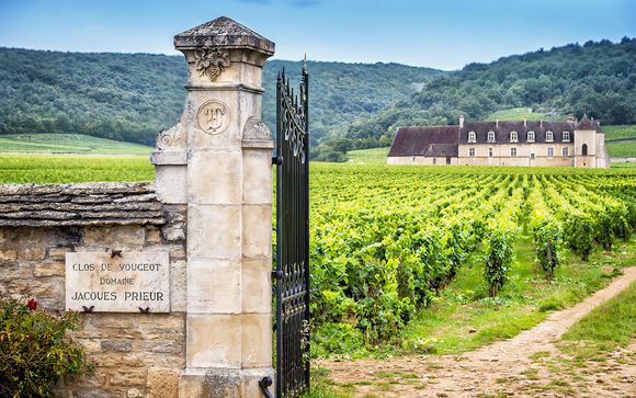 Pour aller plus loin 