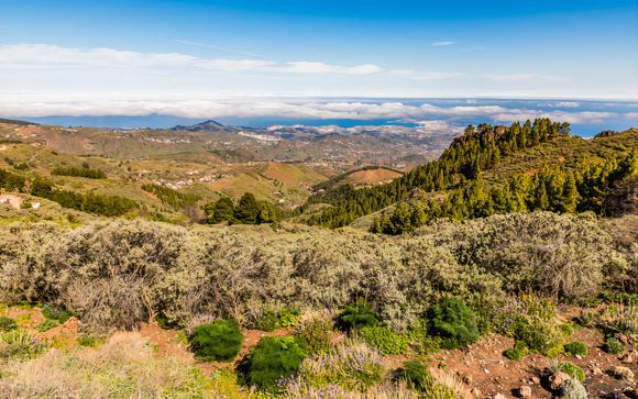 Pour aller plus loin 