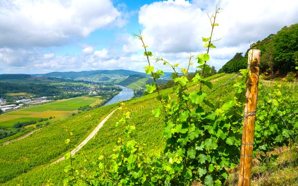 Pour aller plus loin 