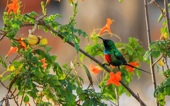 Pour aller plus loin 