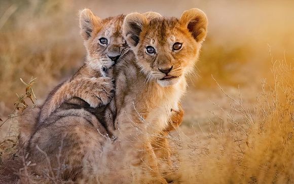 Votre circuit en un clin d’œil