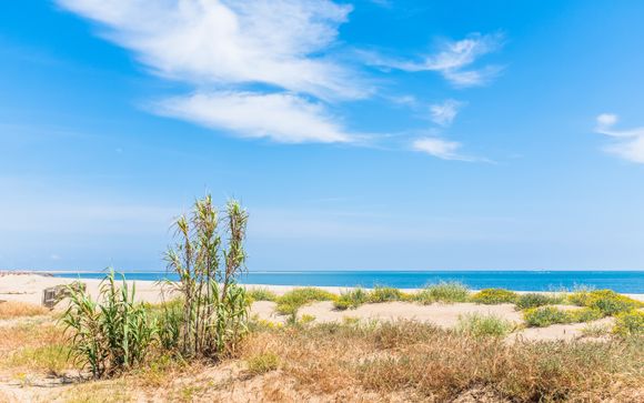 Welkom op... Isla Canela!