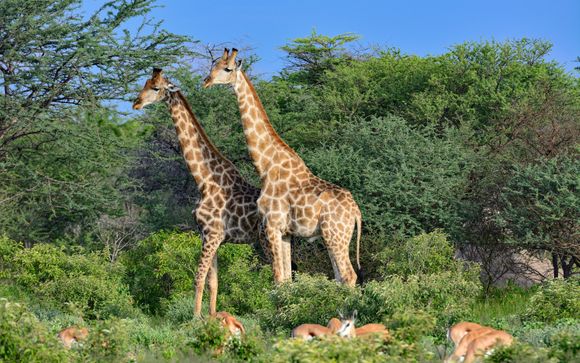 Zoom sur votre programme