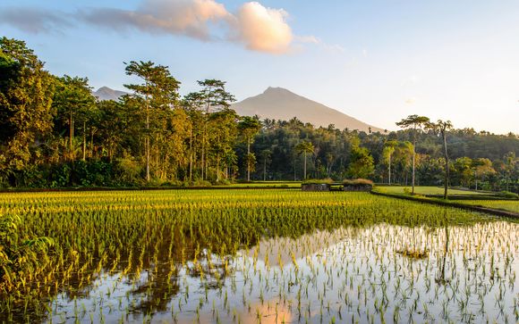 Welkom op... Bali!