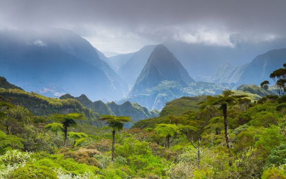 Mettez une option sur l