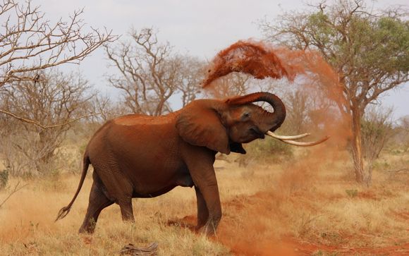Rendez-vous au... Kenya