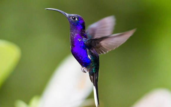 Vos itinéraires suggérés