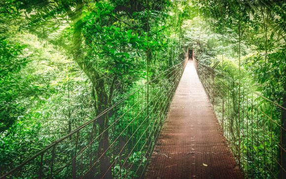 Mettez une option sur l