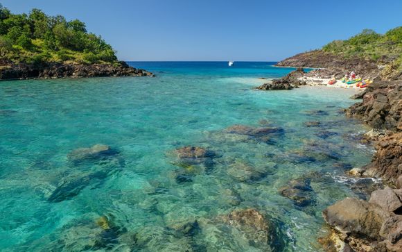 Zoom sur votre programme