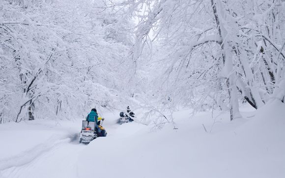 Mettez une option sur l