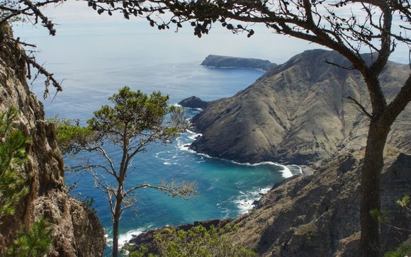 Mettez une option sur l