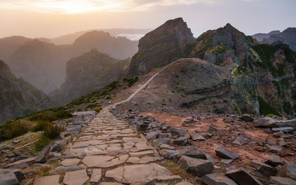 Mettez une option sur l