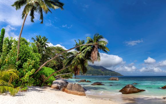 Zoom sur votre programme