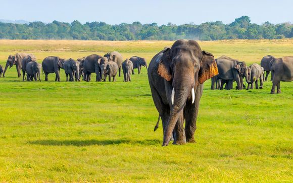 Votre circuit en un clin d’œil